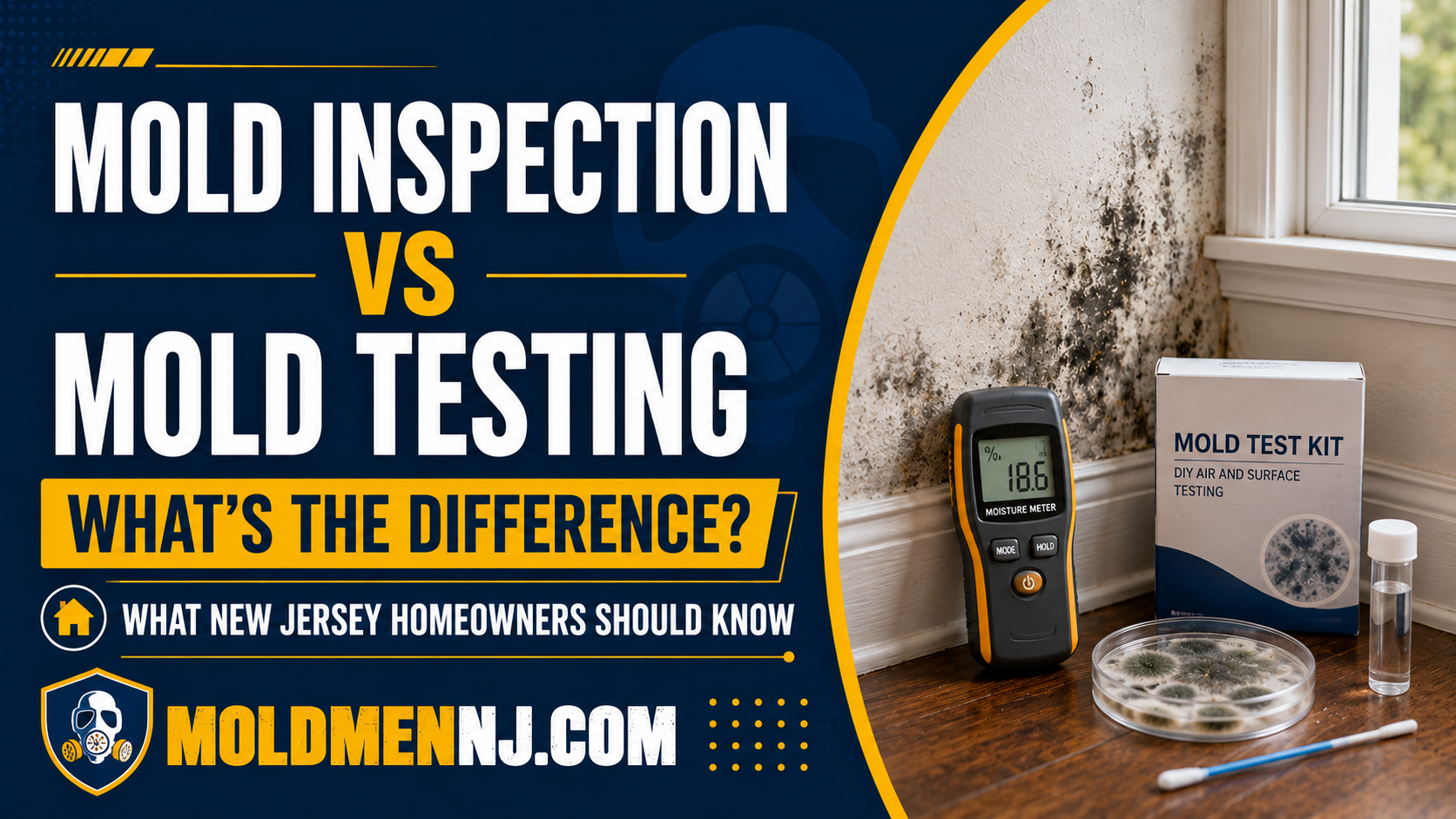 Mold inspection vs mold testing graphic showing moisture meter, mold test kit, and mold growth near a window