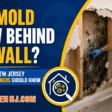 Mold remediation worker inspecting hidden mold behind damaged drywall for Mold Men NJ in New Jersey.