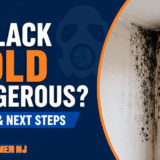 Featured image for Is Black Mold Dangerous showing dark mold growth near a window with Mold Men NJ branding.