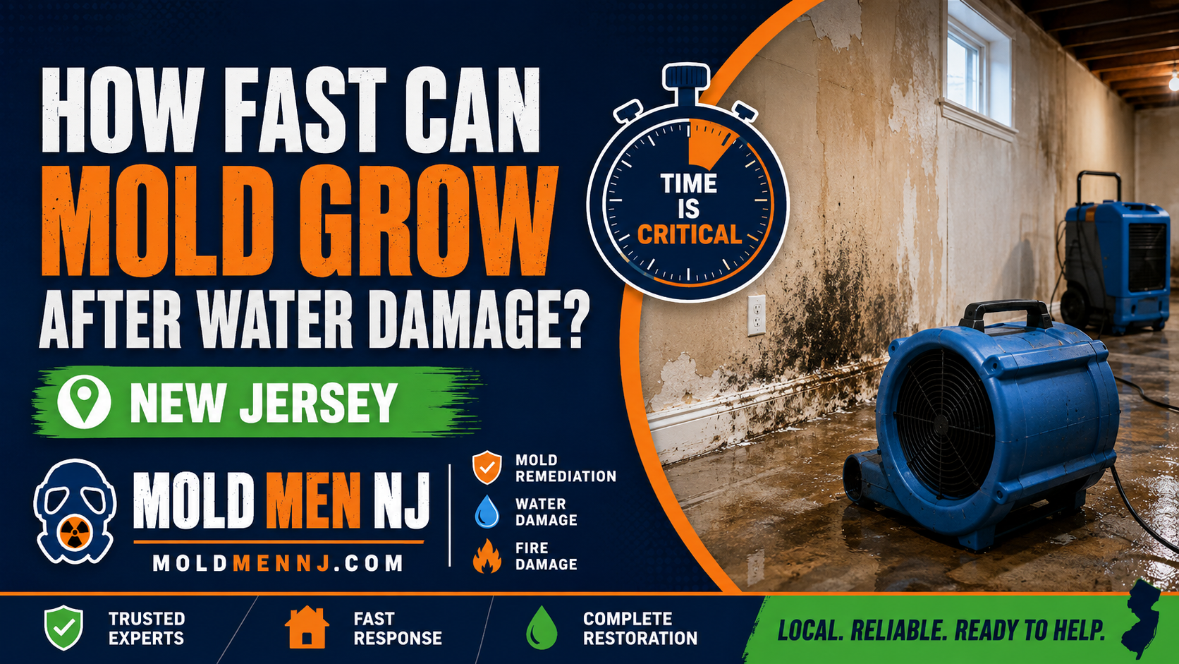 How fast mold can grow after water damage in New Jersey, with a mold-damaged wall and drying equipment.
