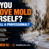 Can You Remove Mold Yourself? DIY vs professional mold removal guide from Mold Men NJ